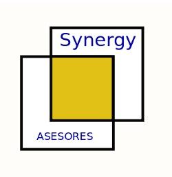 Imagen de SYNERGY ASESORES