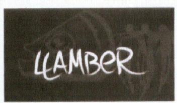 Imagen de LLAMBER