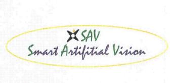 Imagen de SAV SMART ARTIFITIAL VISION