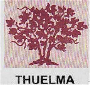 Imagen de THUELMA