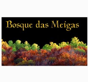 Imagen de BOSQUE DAS MEIGAS