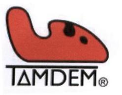 Imagen de TAMDEM