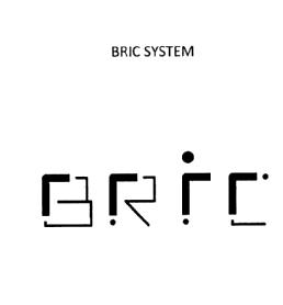Imagen de BRIC SYSTEM BRIC