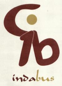 Imagen de INDABUS
