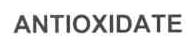 Imagen de ANTIOXIDATE