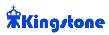 Imagen de KINGSTONE