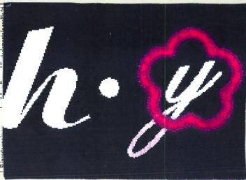 Imagen de H.Y