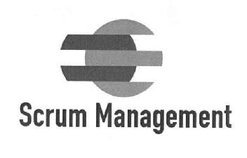 Imagen de SCRUM MANAGEMENT