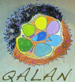 Imagen de QALAN