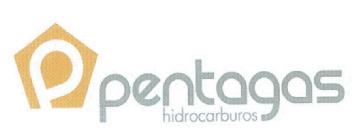 Imagen de PENTAGAS HIDROCARBUROS