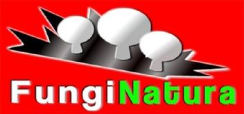 Imagen de FUNGINATURA