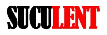 Imagen de SUCULENT