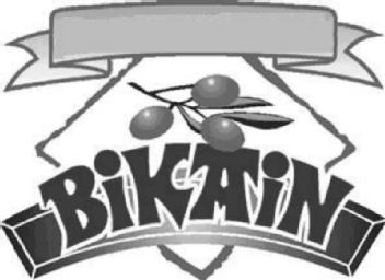 Imagen de BIKAIN