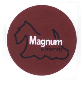 Imagen de MAGNUM & FRIENDS