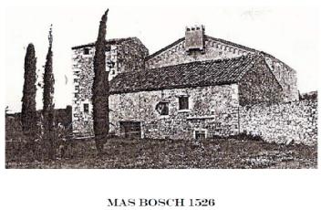 Imagen de MAS BOSCH 1526
