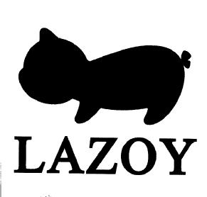 Imagen de LAZOY