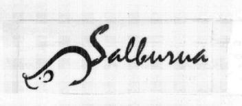 Imagen de SALBURUA