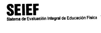 Imagen de SEIEF SISTEMA DE EVALUACION INTEGRAL EDUCACION FISICA