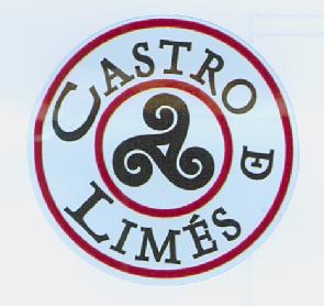Imagen de CASTRO DE LIMES