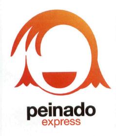 Imagen de PEINADO EXPRESS
