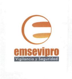 Imagen de EMSEVIPRO VIGILANCIA Y SEGURIDAD