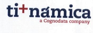 Imagen de TI NAMICA A COGNODATA COMPANY