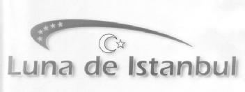 Imagen de LUNA DE ISTANBUL