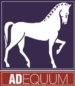 Imagen de AD EQUUM