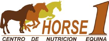 Imagen de HORSE1 CENTRO DE NUTRICION EQUINA