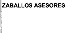 Imagen de ZABALLOS ASESORES