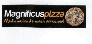 Imagen de MAGNIFICUSPIZZA MEDIO METRO DE MASA ARTESANAL