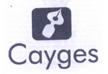 Imagen de CAYGES