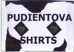 Imagen de PUDIENTOVA SHIRTS