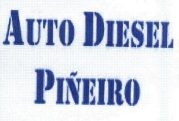 Imagen de AUTO DIESEL PIÑEIRO