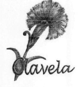 Imagen de CLAVELA
