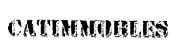 Imagen de CATIMMOBLES