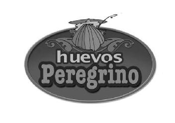 Imagen de HUEVOS PEREGRINO