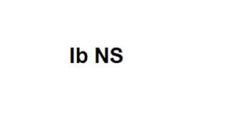 Imagen de IB NS