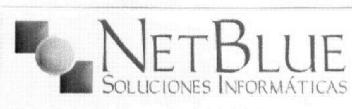Imagen de NET BLUE SOLUCIONES INFORMATICAS