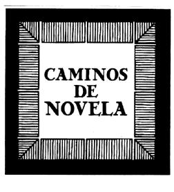 Imagen de CAMINOS DE NOVELA
