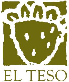 Imagen de EL TESO