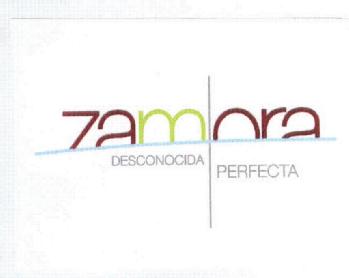 Imagen de ZAMORA DESCONOCIDA PERFECTA