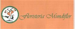 Imagen de FLORISTERIA MUNDIFLOR