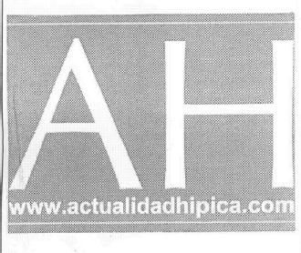 Imagen de AH WWW.ACTUALIDADHIPICA.COM