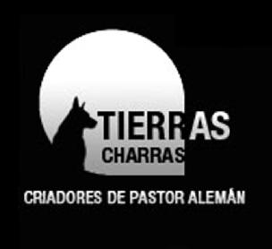 Imagen de TIERRAS CHARRAS CRIADORES DE PASTOR ALEMAN