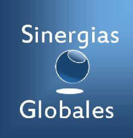 Imagen de SINERGIAS GLOBALES