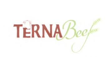 Imagen de TERNABEEF