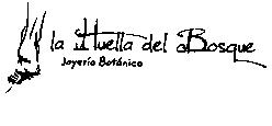 Imagen de LA HUELLA DEL BOSQUE JOYERIA BOTANICA