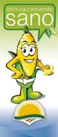 Imagen de DISFRUTA COMIENDO SANO