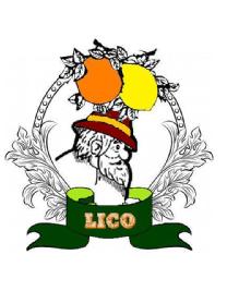 Imagen de LICO
